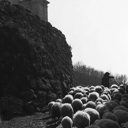 Pé Na Aldeia Casa vacanze Outeiro (Tras-Os-Montes)