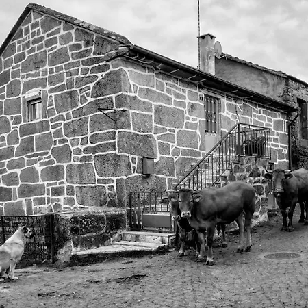 Pe Na Aldeia Casa de Férias *