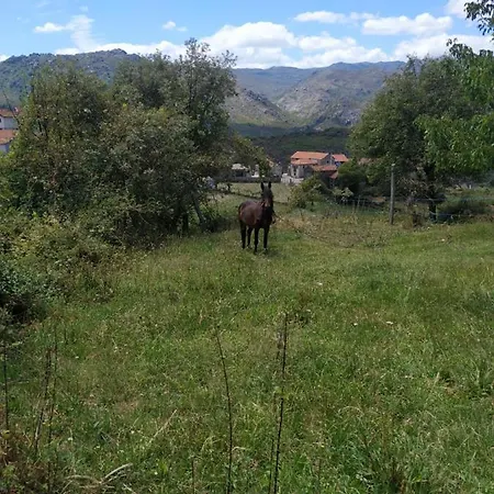 Casa de Férias Pe Na Aldeia *