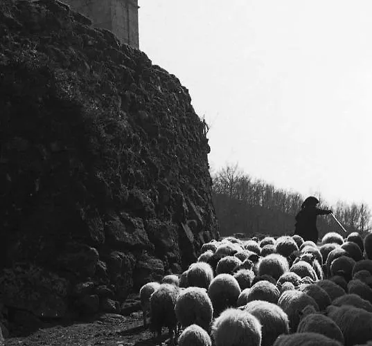 Pé Na Aldeia Casa vacanze Outeiro (Tras-Os-Montes)