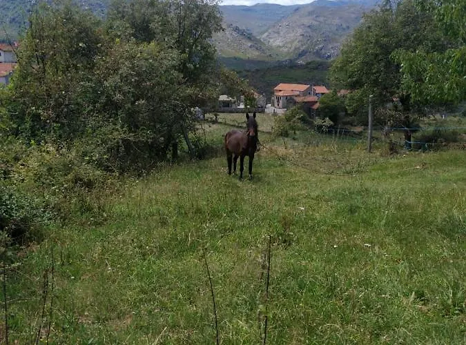 Casa vacanze Pé Na Aldeia *